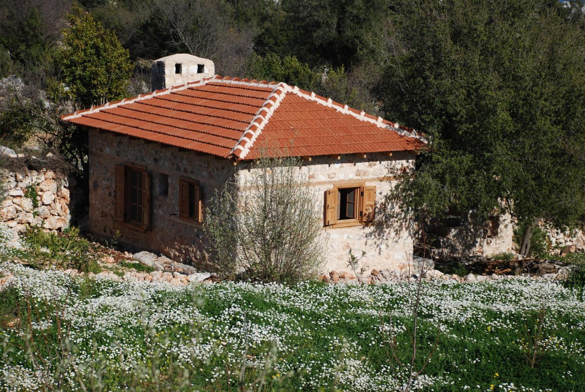 Hoyran Wedre Country Houses Davazlar Extérieur photo