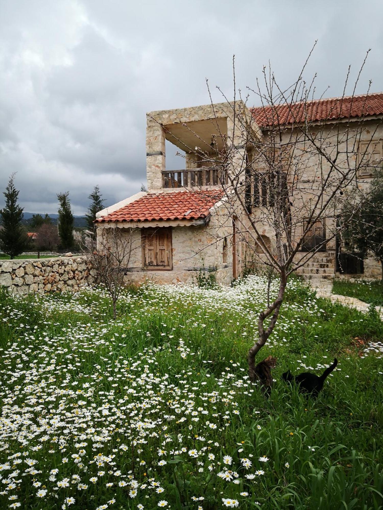 Hoyran Wedre Country Houses Davazlar Extérieur photo